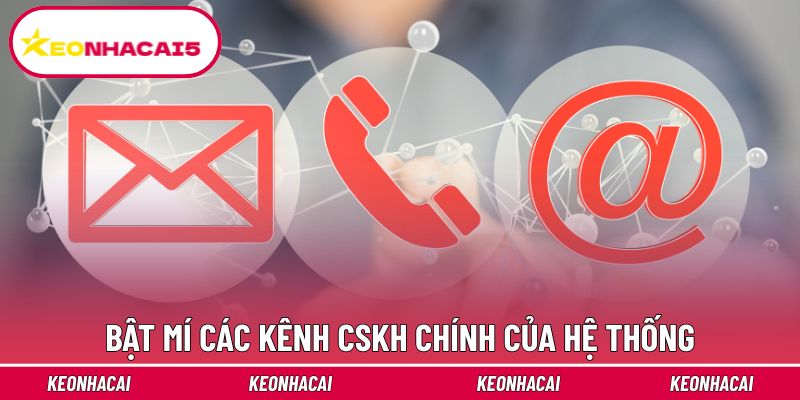 Chia sẻ 3 cách liên hệ nền tảng chính thức